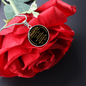Gift for Daughter (from Mom) – “Never Forget That I Love You” Luxury Circle Pendant Necklace