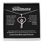 Tiffany's necklace heart pendant with red gemstone on silver chain in soulmate gift box